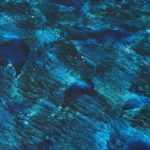 Le changement et l’innovation au sein des organisations à travers l’approche de la déviance positive