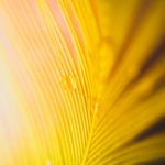 L’éthique : de la rhétorique à la pratique